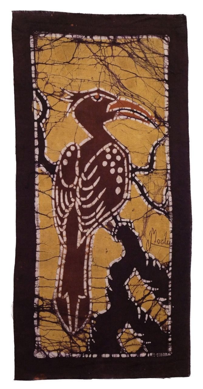 Photo for Hornbill
