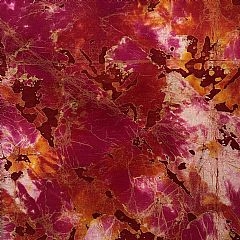 Photo for Esther 841